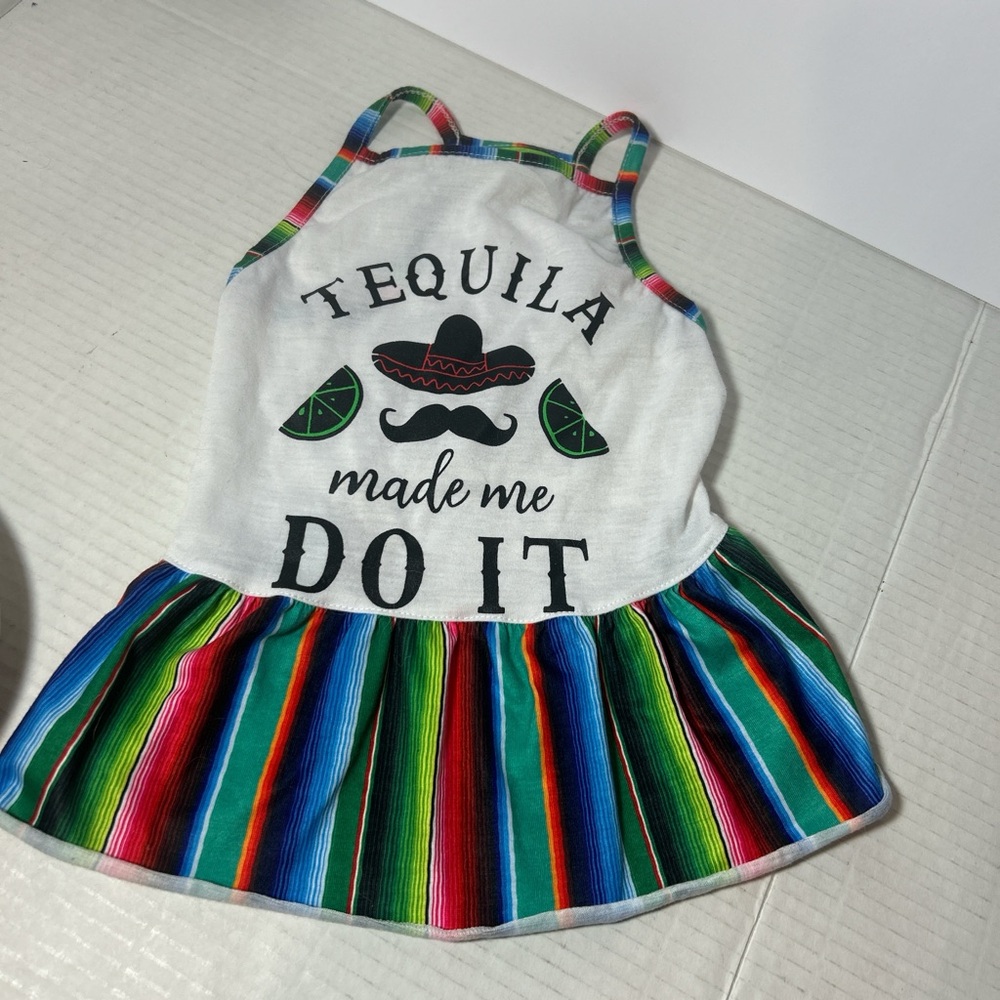 Colorful Vibrant Festive Striped Doggie Dress Costume Fiesta Cinco de Mayo